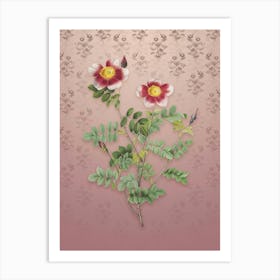 Vintage Variegated Burnet Rose Botanical on Dusty Pink Pattern n.2445 Art Print