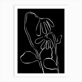 White Flowers Art Print