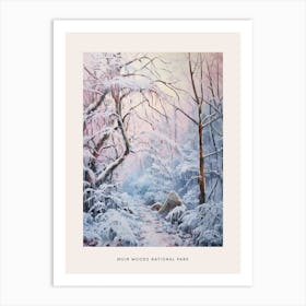 Dreamy Winter National Park Poster  Muir Woods National Park United States 2 Art Print