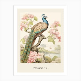 Beatrix Potter Inspired  Animal Watercolour Peacock 1 Art Print