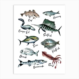 Watercolor Fish Illustration Sea Watercolor Art Print