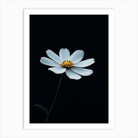 White Daisy 2 Art Print