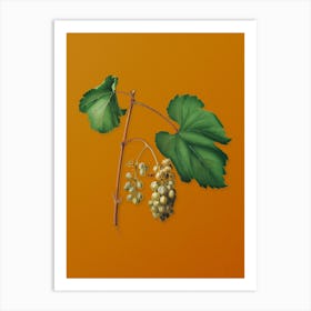 Vintage Friulli Grape Botanical on Sunset Orange Art Print
