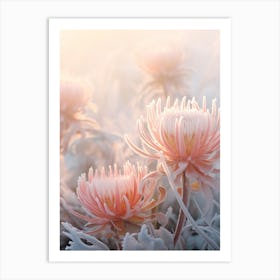 Frosty Botanical Protea 2 Art Print