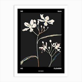 No Rain No Flowers Poster Babys Breath 8 Art Print