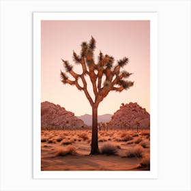  Photograph Of A Joshua Trees At Dawn In Desert 5 Art Print