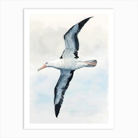 Bird In Flight Art Print