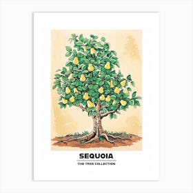 Sequoia Tree Storybook Illustration 1 Poster Art Print