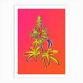 Neon Chaste Tree Botanical in Hot Pink and Electric Blue n.0020 Art Print