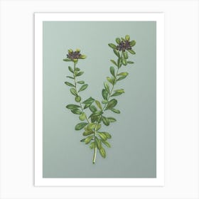 Vintage Daphne Sericea Flowers Botanical Art on Mint Green n.0500 Art Print