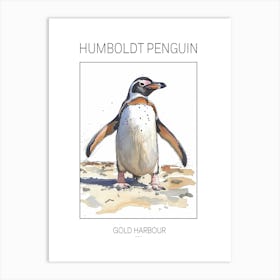 Humboldt Penguin Gold Harbour Watercolour Painting 4 Poster Art Print