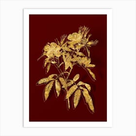 Vintage Pink Swamp Roses Botanical in Gold on Red n.0570 Art Print