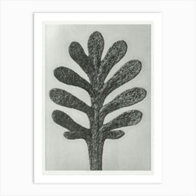 Yarrow (1928), Karl Blossfeldt 1 Art Print