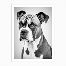 Boxer B&W Pencil Dog Art Print