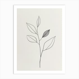 Leaf On A Branch 10 Art Print