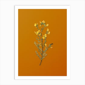 Vintage Adenocarpus Botanical on Sunset Orange Art Print