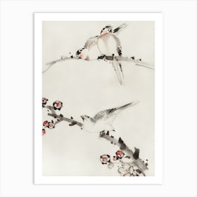 Birds On A Branch 5 Art Print