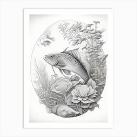 Tancho Koi Fish Haeckel Style Illustastration Art Print