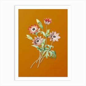Vintage Broad Leaved Anemone Botanical on Sunset Orange n.0174 Art Print