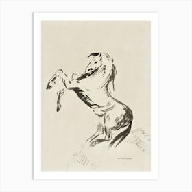 Horse On Its Hind Legs Art Print