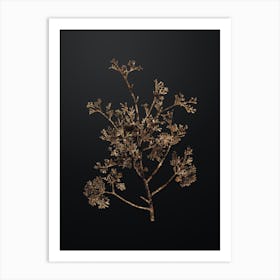 Gold Botanical Atlantic White Cypress on Wrought Iron Black n.0228 Art Print