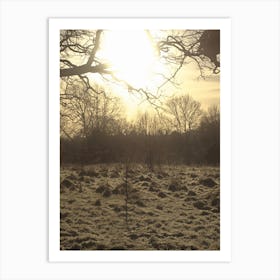 Frosty Landscape at Sunset in Arnos Park, London Art Print