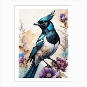 Blue Jay Art Print