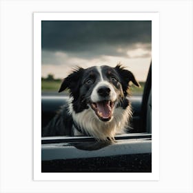 Border Collie In Car 1 Art Print