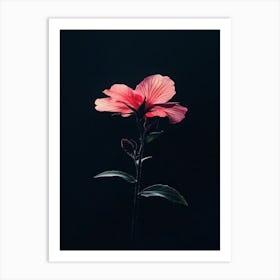 Hibiscus Flower 13 Art Print