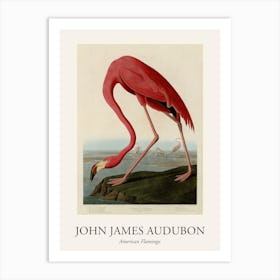 American Flamingo Poster Art Print