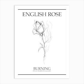 English Rose Burning Line Drawing 3 Poster Art Print
