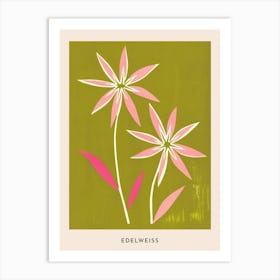 Pink & Green Edelweiss 2 Flower Poster Art Print