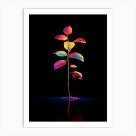 Rainbow Tree On Black Background Art Print