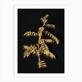 Vintage Flowering Indigo Plant Botanical in Gold on Black Art Print
