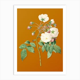 Vintage Adelia Aurelianensis Botanical on Sunset Orange n.0057 Art Print