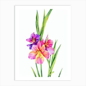 Gladioli 2  Watercolour Flower Art Print