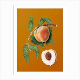 Vintage Peach Botanical on Sunset Orange n.0158 Art Print