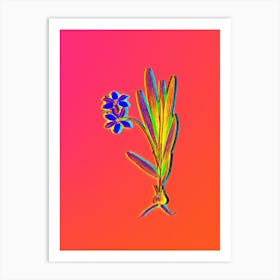 Neon Gladiolus Plicatus Botanical in Hot Pink and Electric Blue n.0145 Art Print