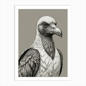 Vulture Art Print