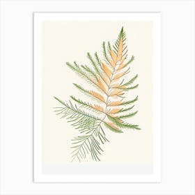 Cypress Leaf Illustration Art Print
