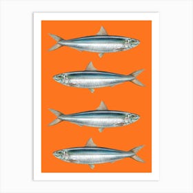 Sardine Fish On A Orange Background Art Print Art Print