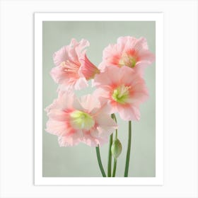 Amaryllis Flowers Acrylic Pastel Colours 1 Art Print