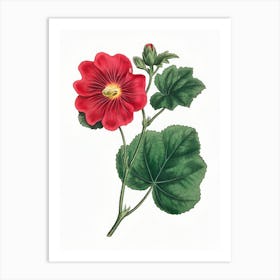 Seringapatam A Hollyhock (Alcea Rosea) Art Print