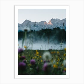 Flowers And A Sunrise In The Alps Art Print