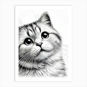 A detailed black and white illustration of a cute cat Art Print