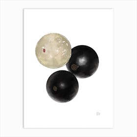 jabuticaba Art Print