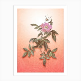 Pink Boursault Rose Vintage Botanical in Peach Fuzz Seigaiha Wave Pattern n.0249 Art Print