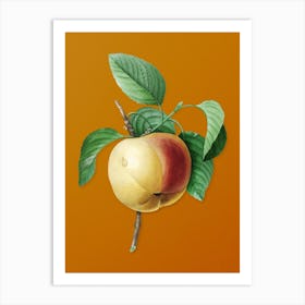 Vintage Snow Calville Apple Botanical on Sunset Orange n.0046 Art Print