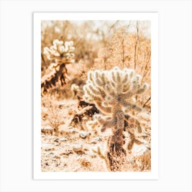 Cholla Cactus Desert Art Print