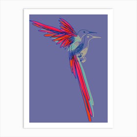 Hummingbird001 Art Print
